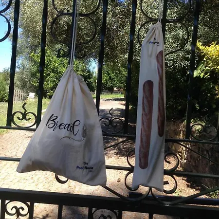 Ferienhaus The Pool House