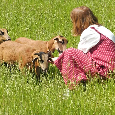 The Pool House * Longos