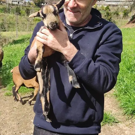 The Pool House 別荘 Longos