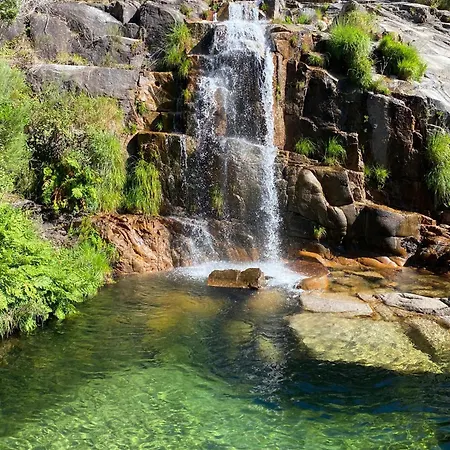 The Pool House 別荘 *