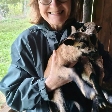 The Pool House Casa de Férias