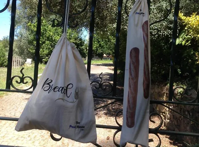 Vakantiehuis The Pool House