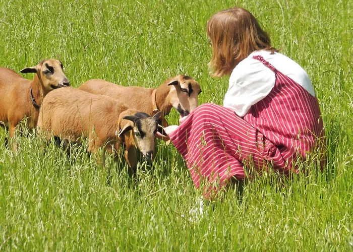 The Pool House * Longos