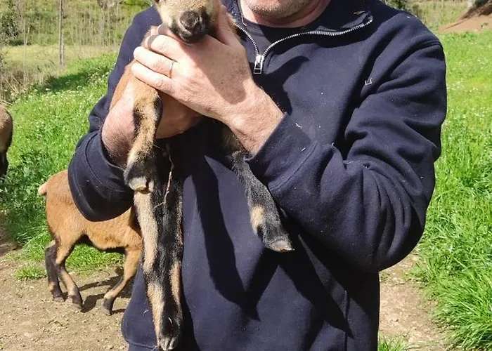 The Pool House Hébergement de vacances Longos