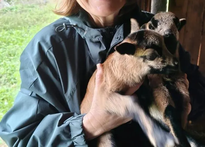 The Pool House Holiday home